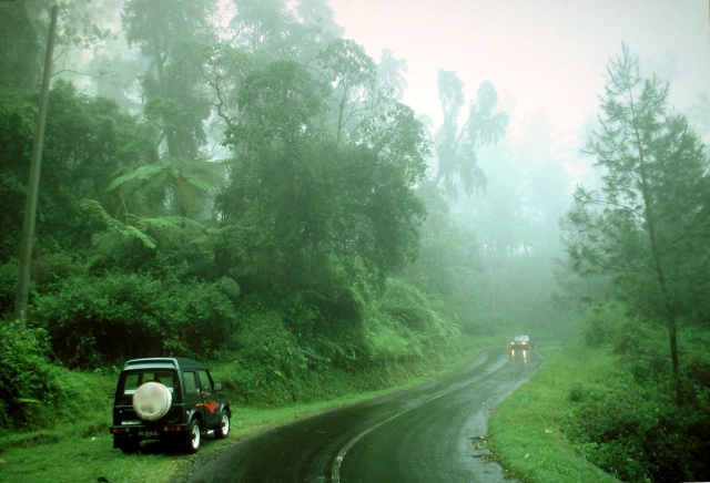 Cloud Forest, Bali