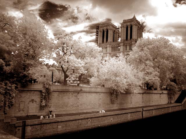 Notre Dame